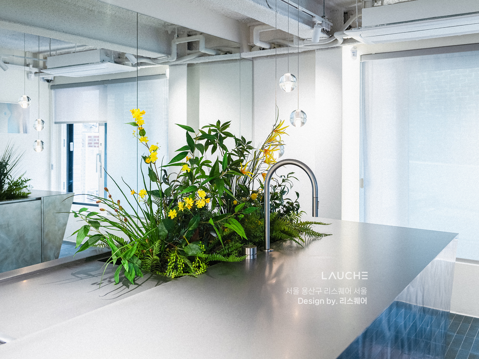 https://lauche.co.kr/data/file/m02_01/1935221681_l1dV3zDx_0382b7319ce640e5a6f208fe94216e65837045ae.jpg